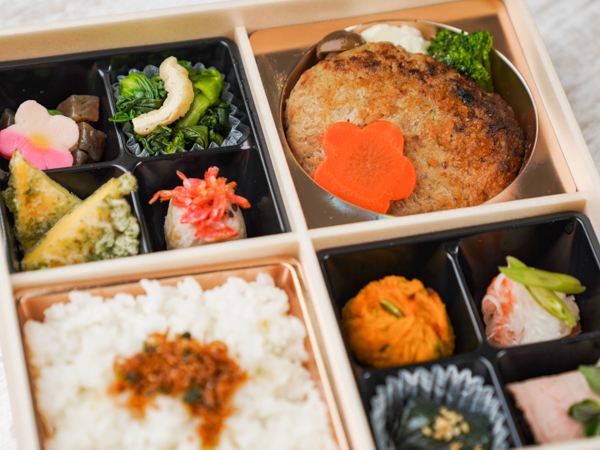 旨味たっぷり国産牛ハンバーグとちりめん山椒ごはん弁当