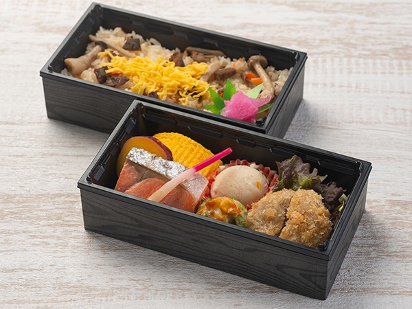 ヒレカツと牛めし御膳