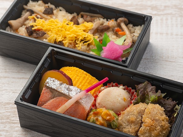 ヒレカツと牛めし御膳