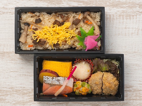 ヒレカツと牛めし御膳